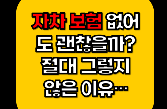 자차-보험-없어도-괜찮을까-썸네일